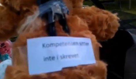 Feminism, Nallebombning, Ulf Brunnberg